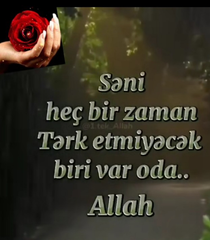 Suro