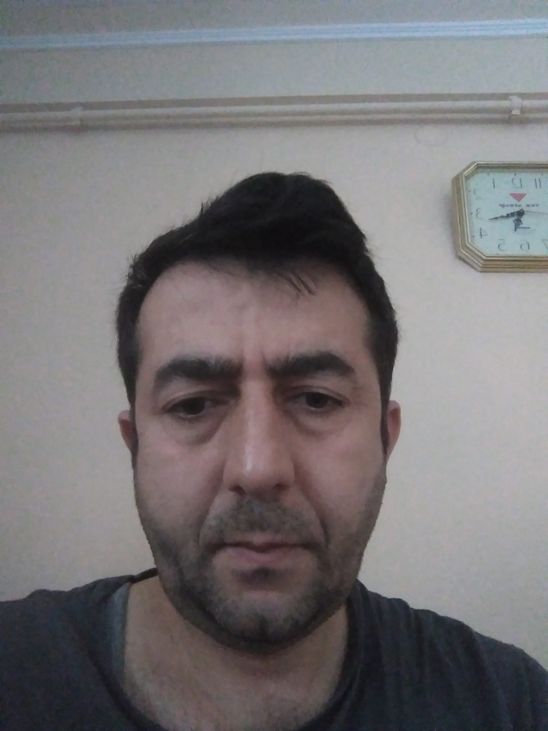 Vedat