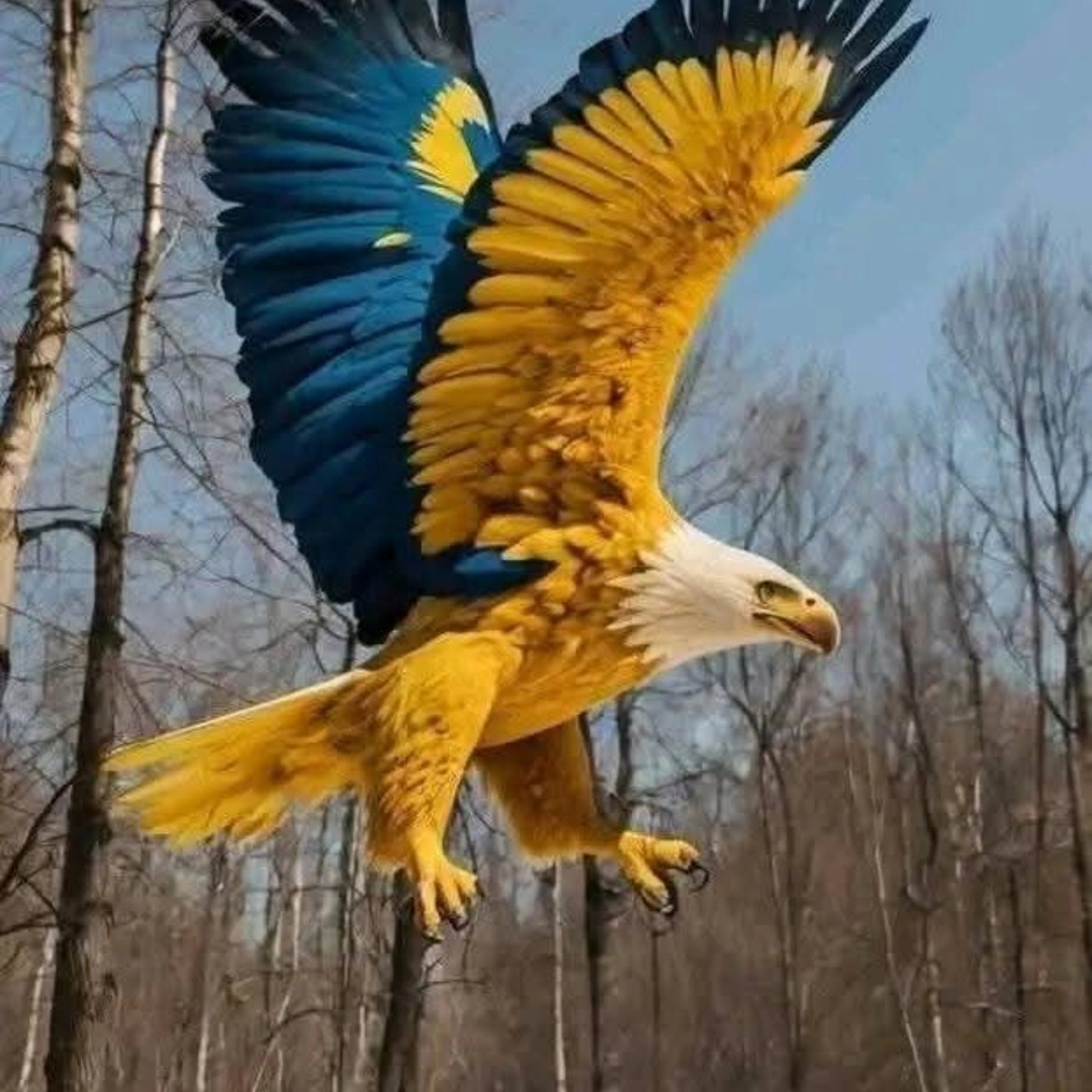 عباس