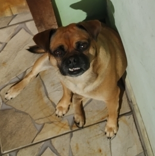 Junior