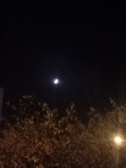 Nurcan