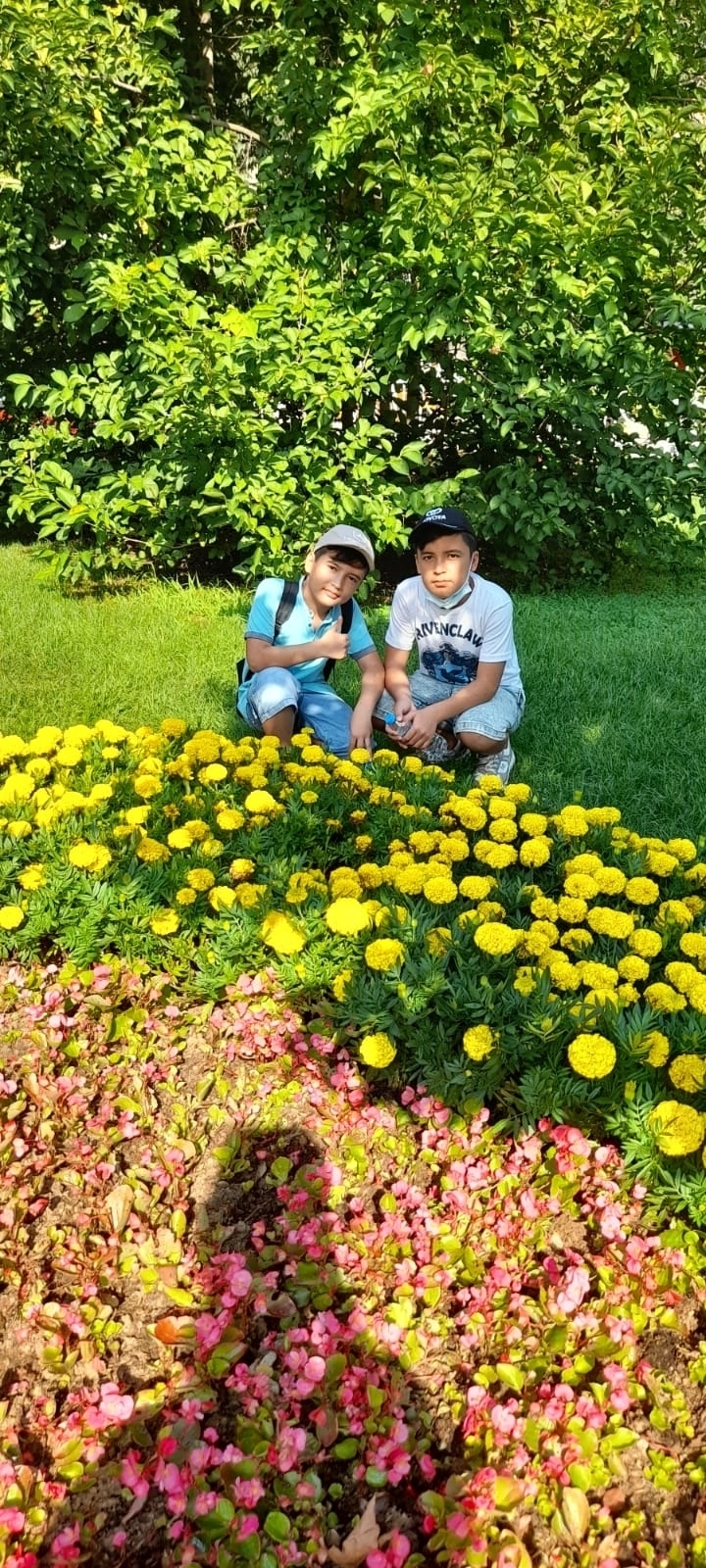 Nilüfer