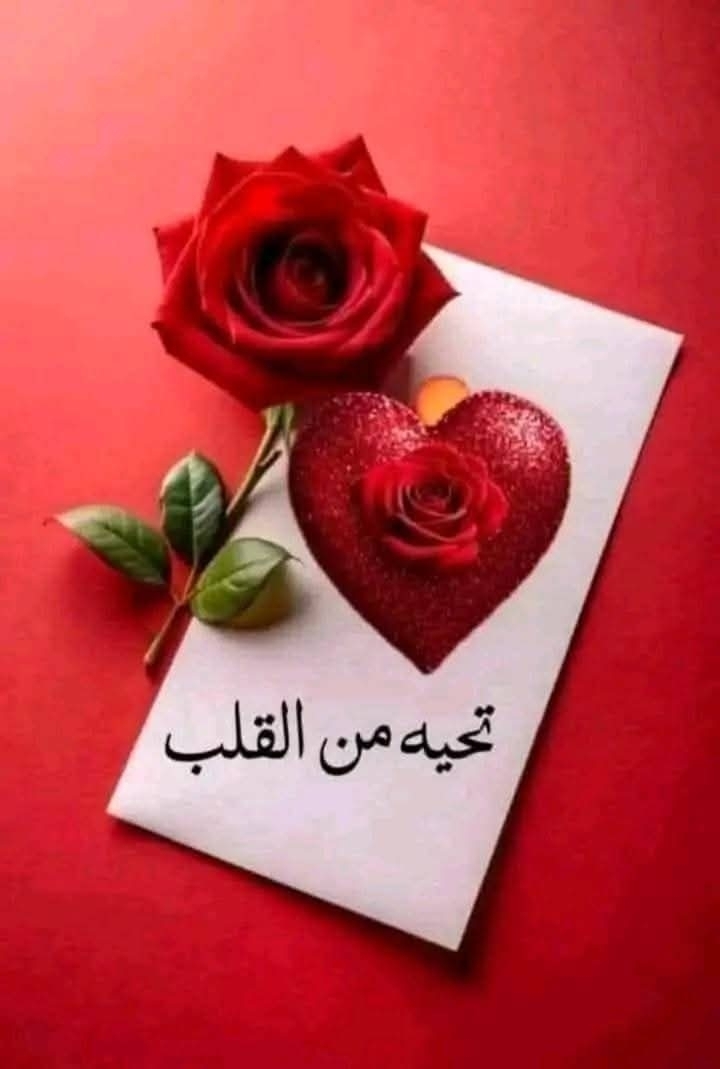نسمت