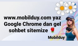Zaafimsinnsen