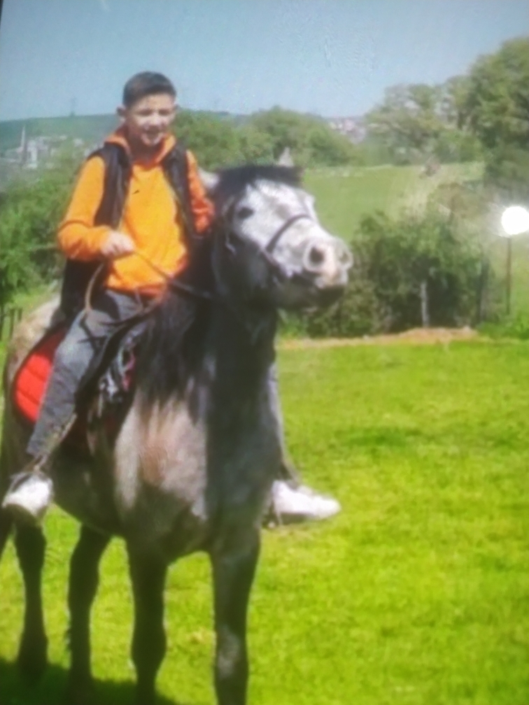 Yiğit