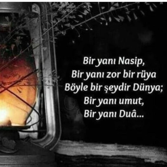 Dost