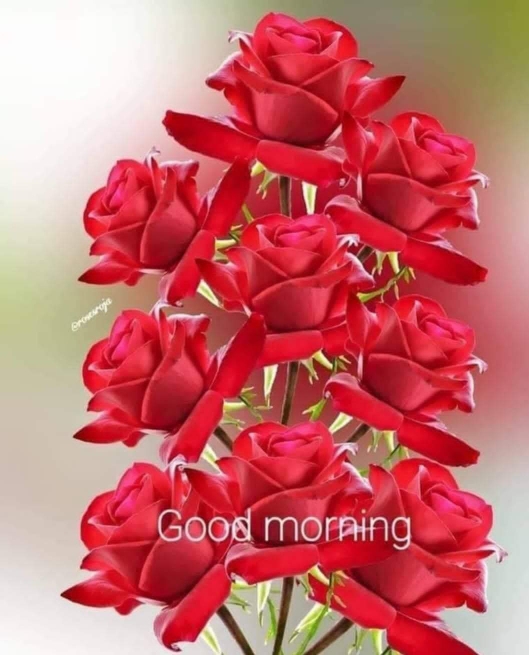 ARVIND