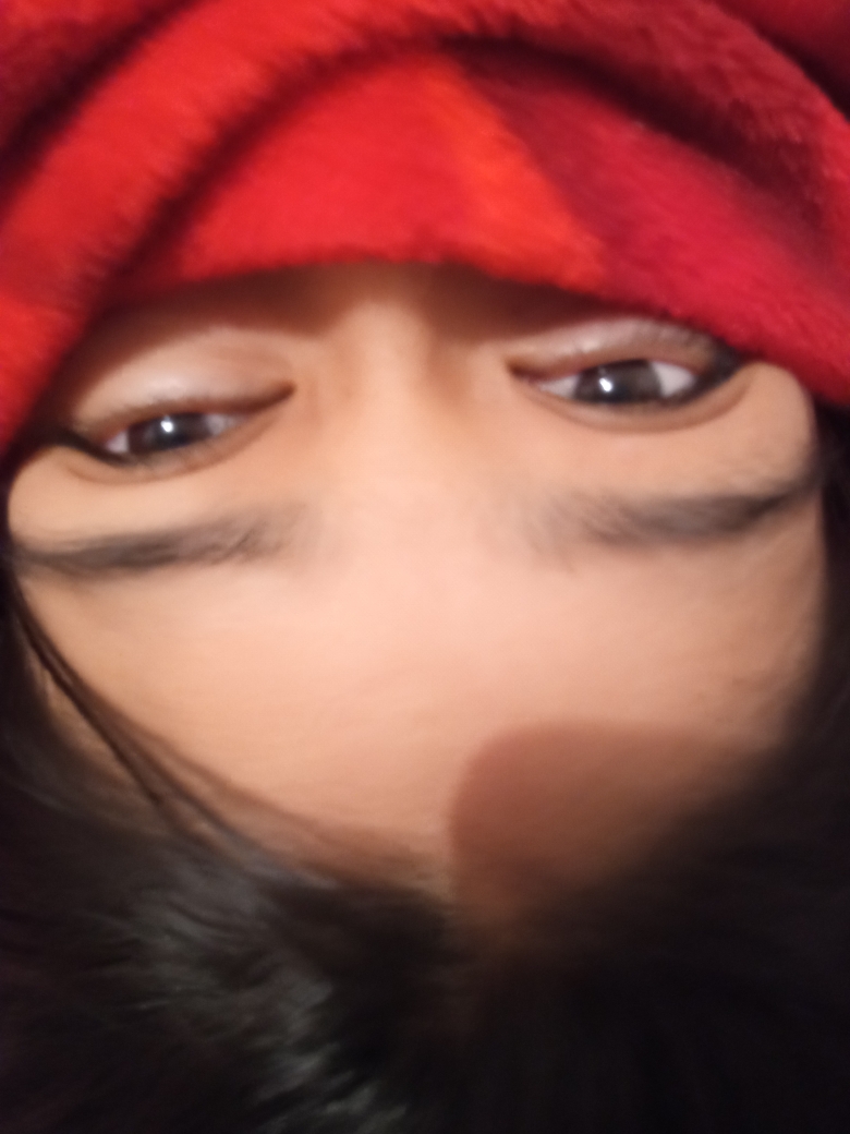 Alizon