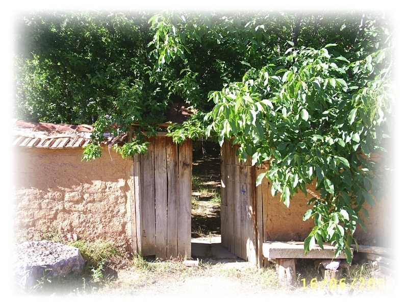 Haşim