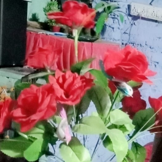 Komal