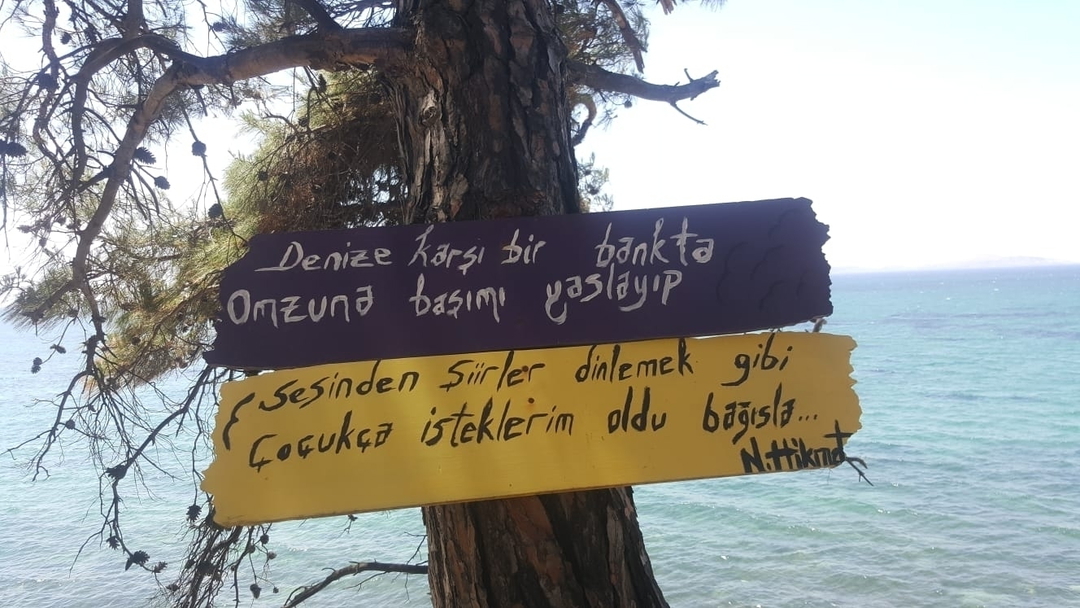 Ayse