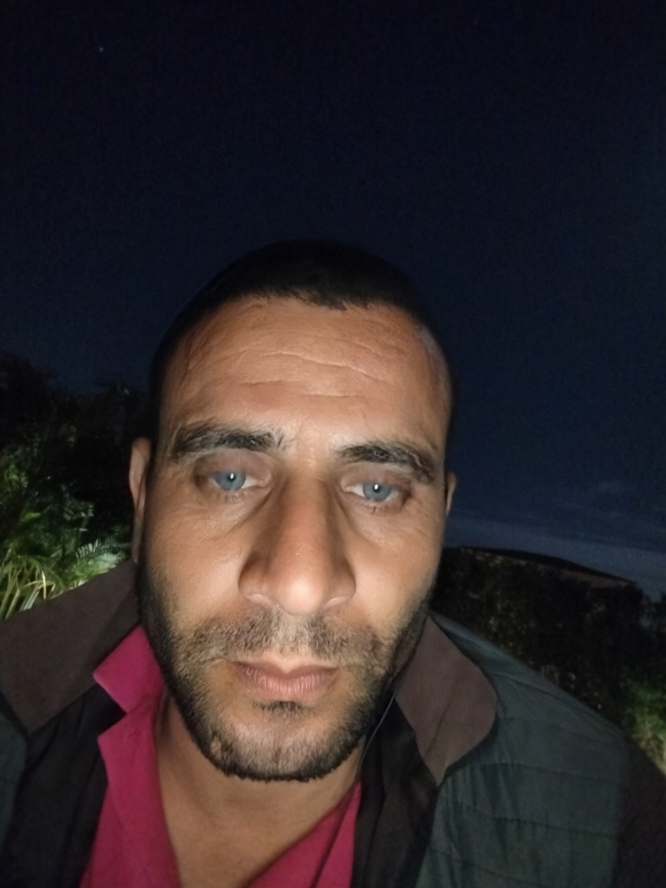 محمود
