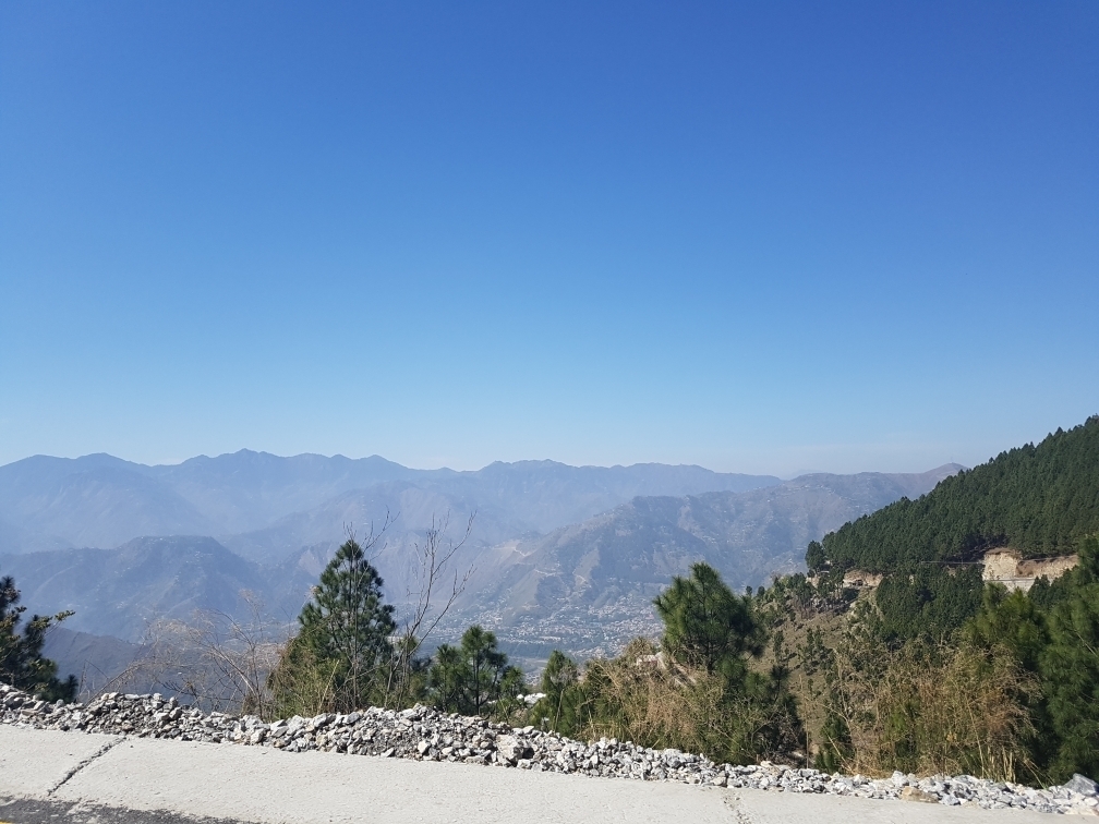 Mahrukh