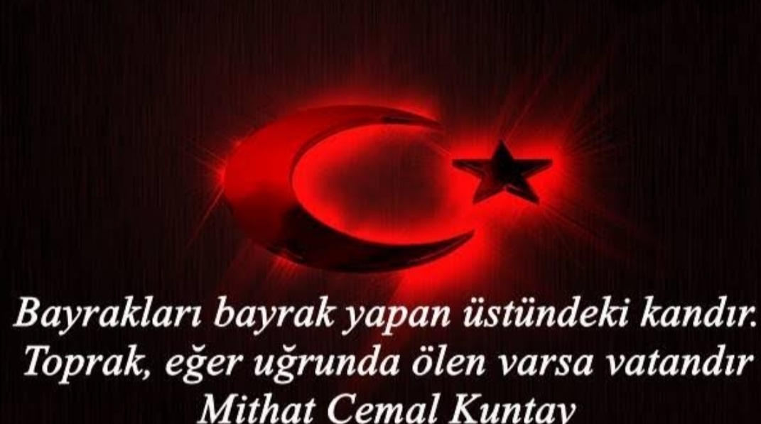 Aysel