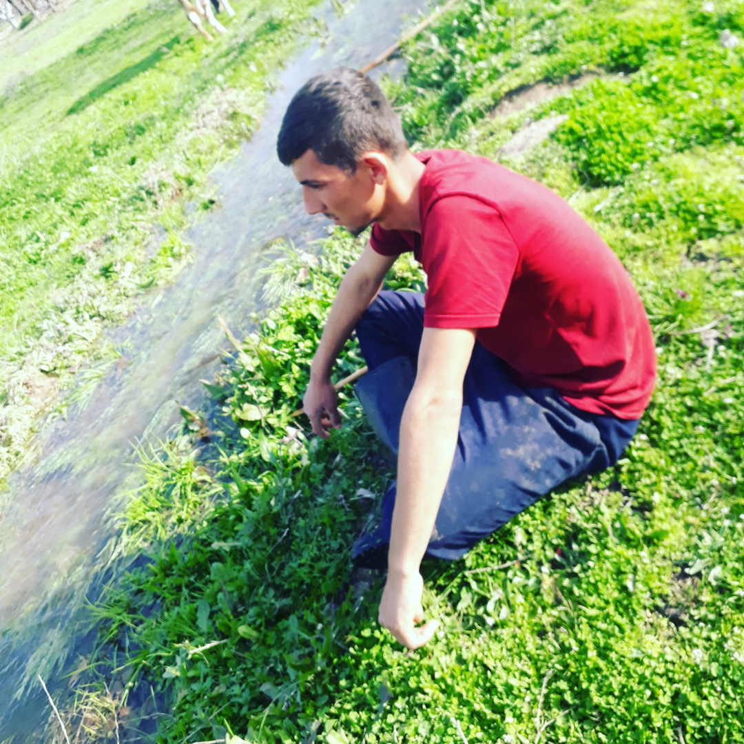 Yusuf