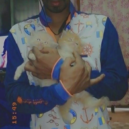 Azhar
