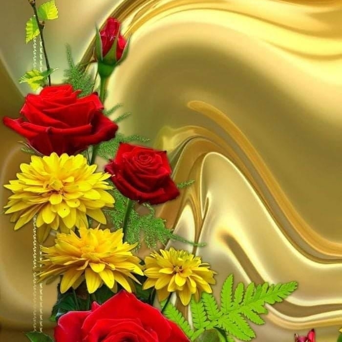 Anil