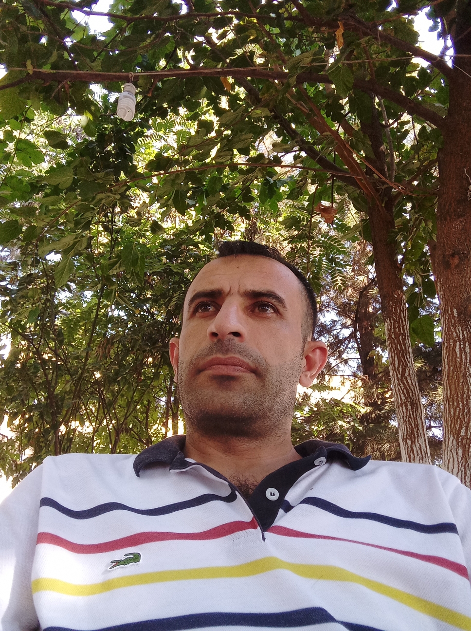 Erhan
