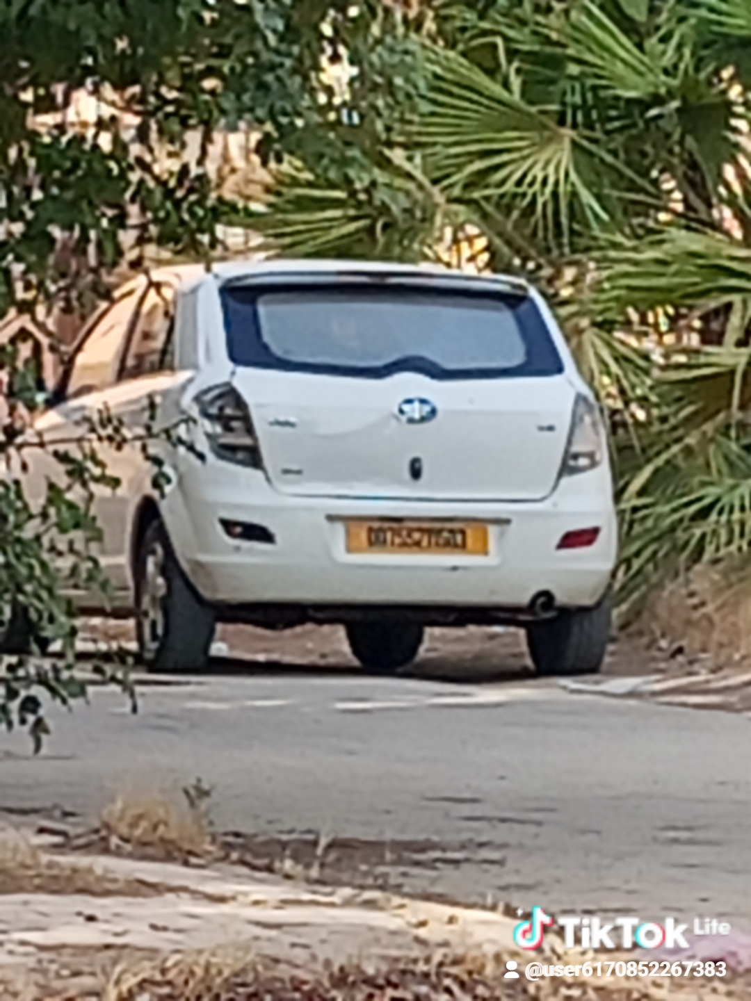 الجزائر
