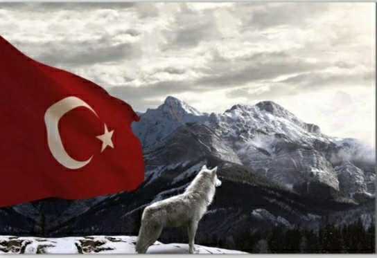 Kimsesiz