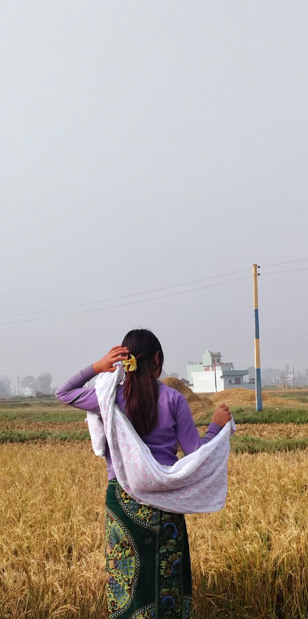 Nishu