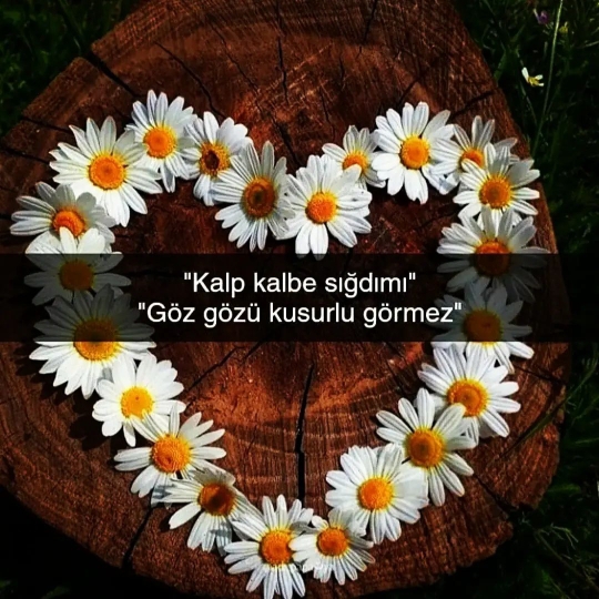Damla