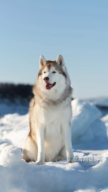 Alma