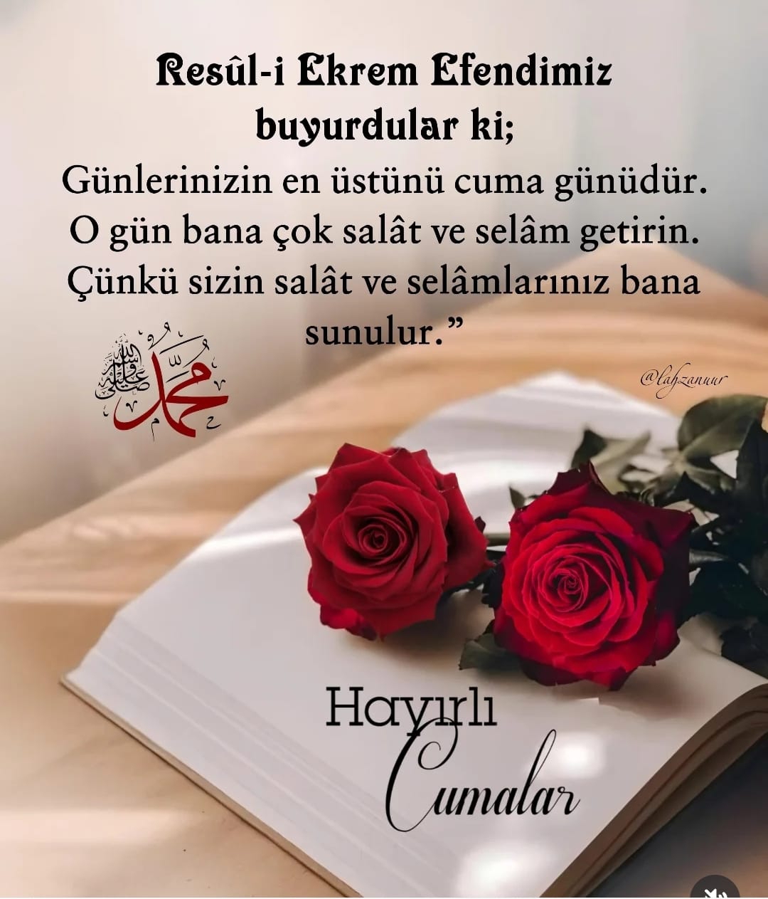Menıze