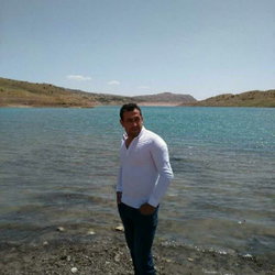 Alp