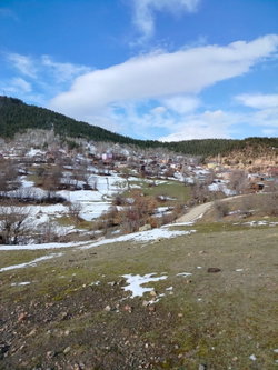 Turgay