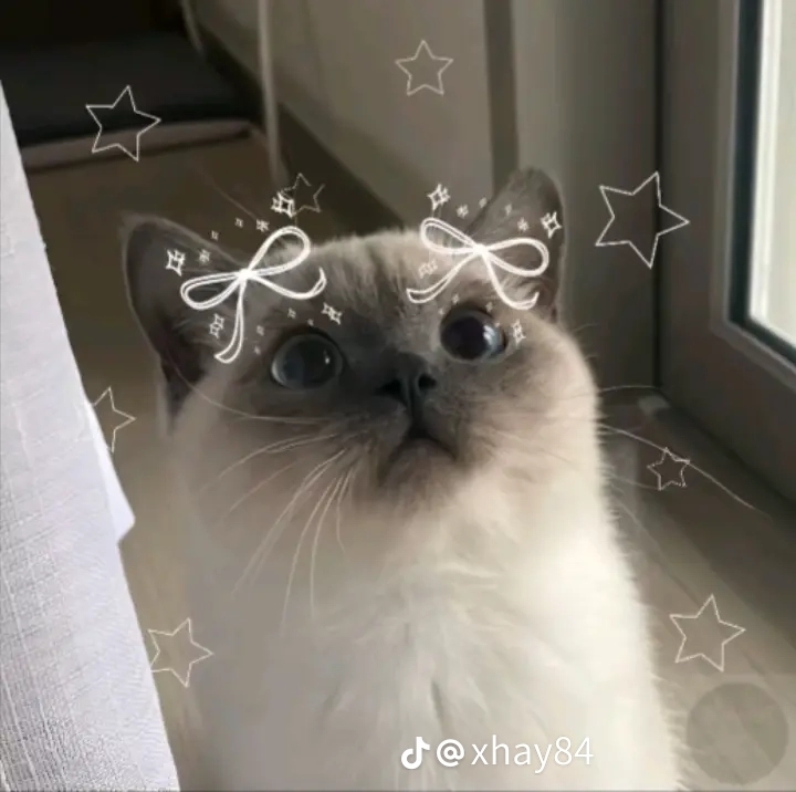Ada