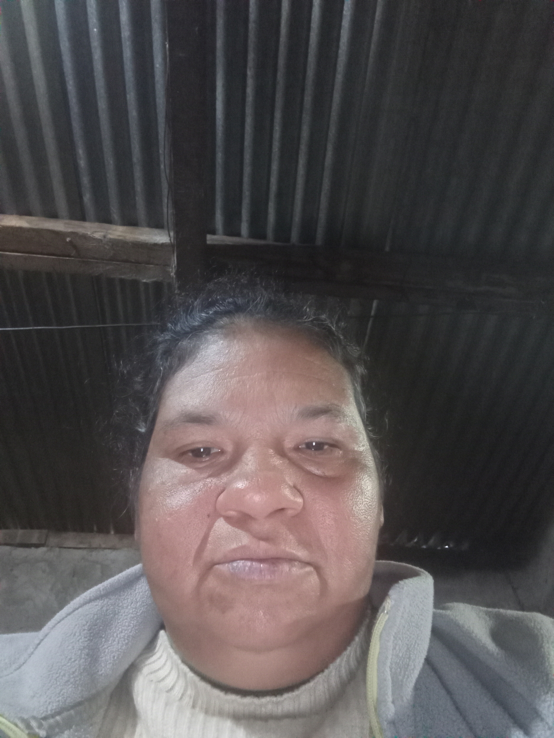 Nelida