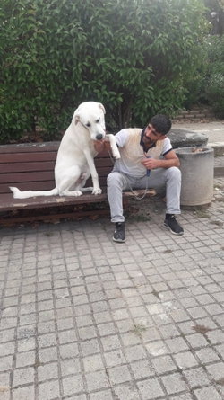 Burak