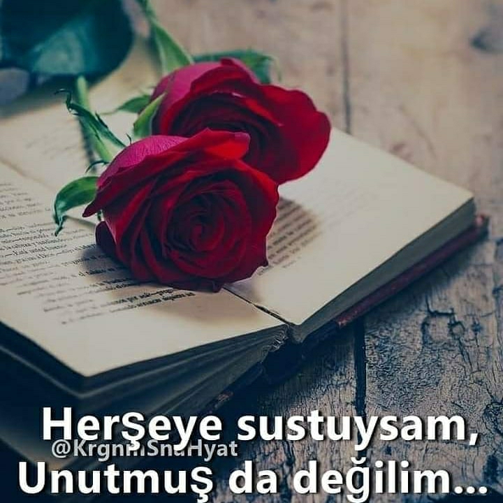 Gülüzar