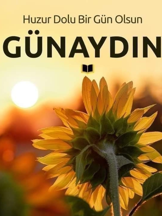 Aslan