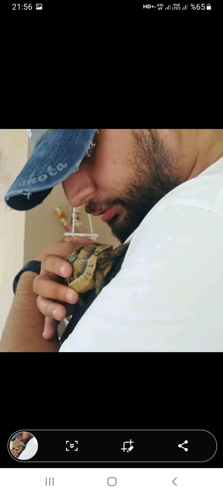 Mert