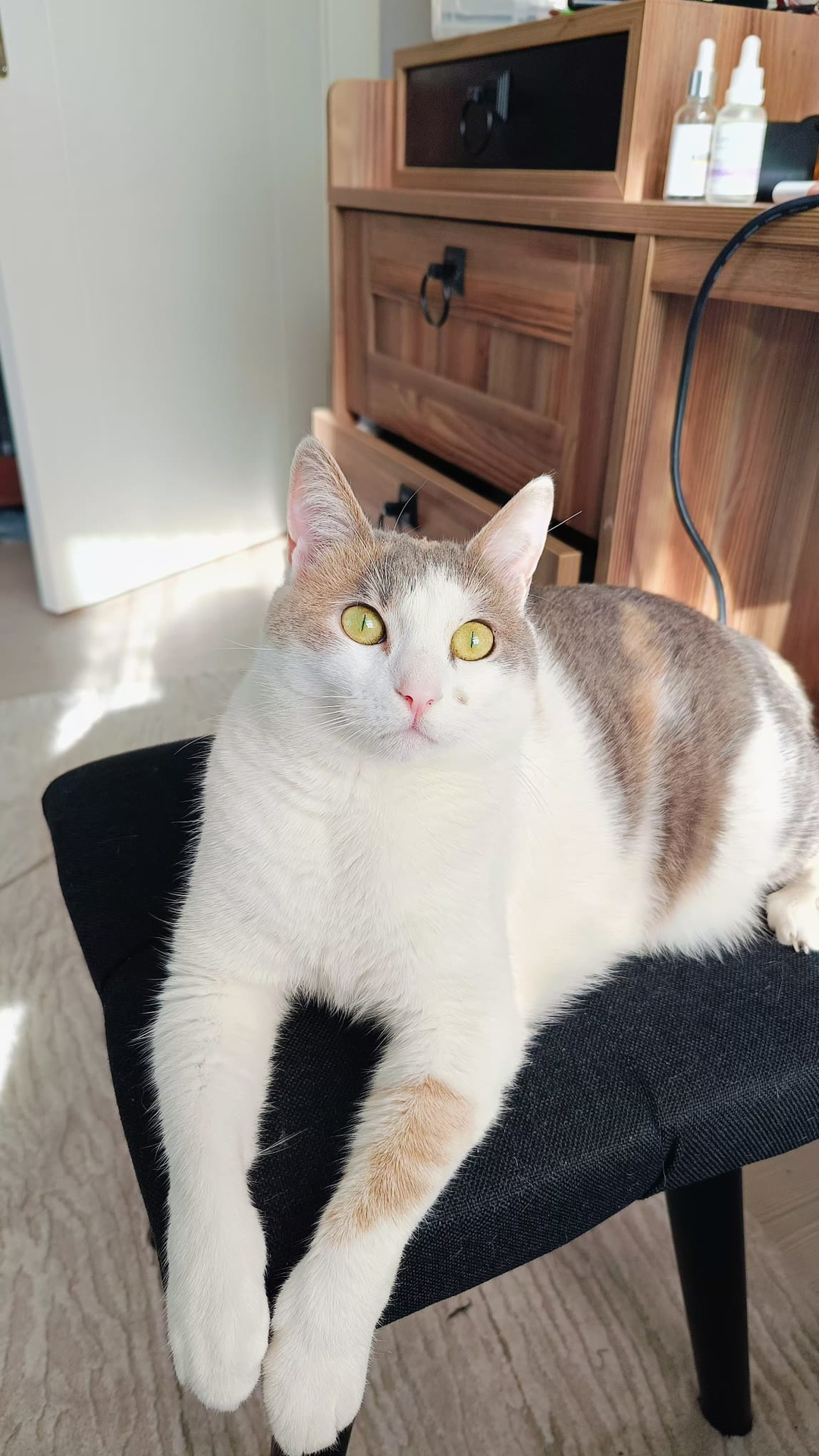 Lina