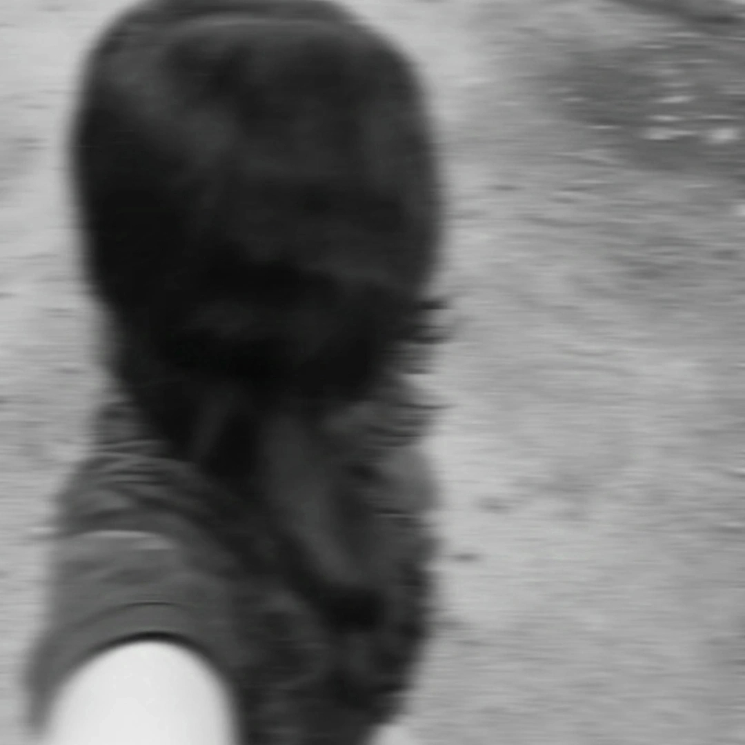 Veronica