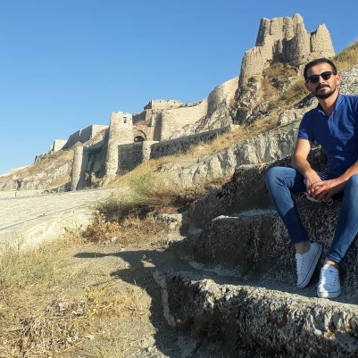 Şahin
