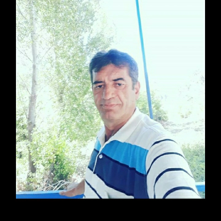 Secim
