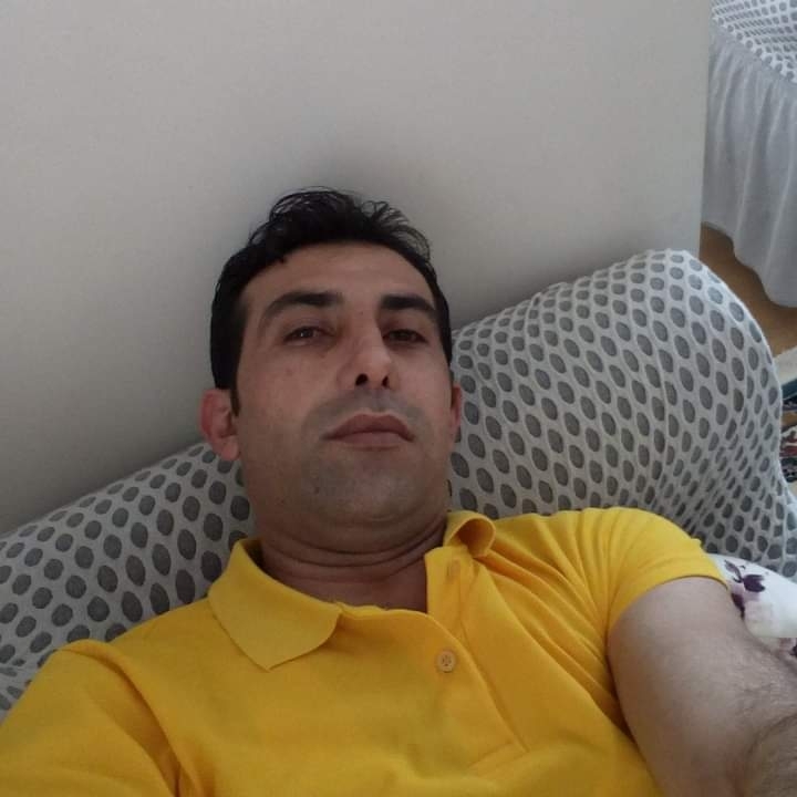 Doğan
