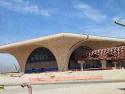 Doğan