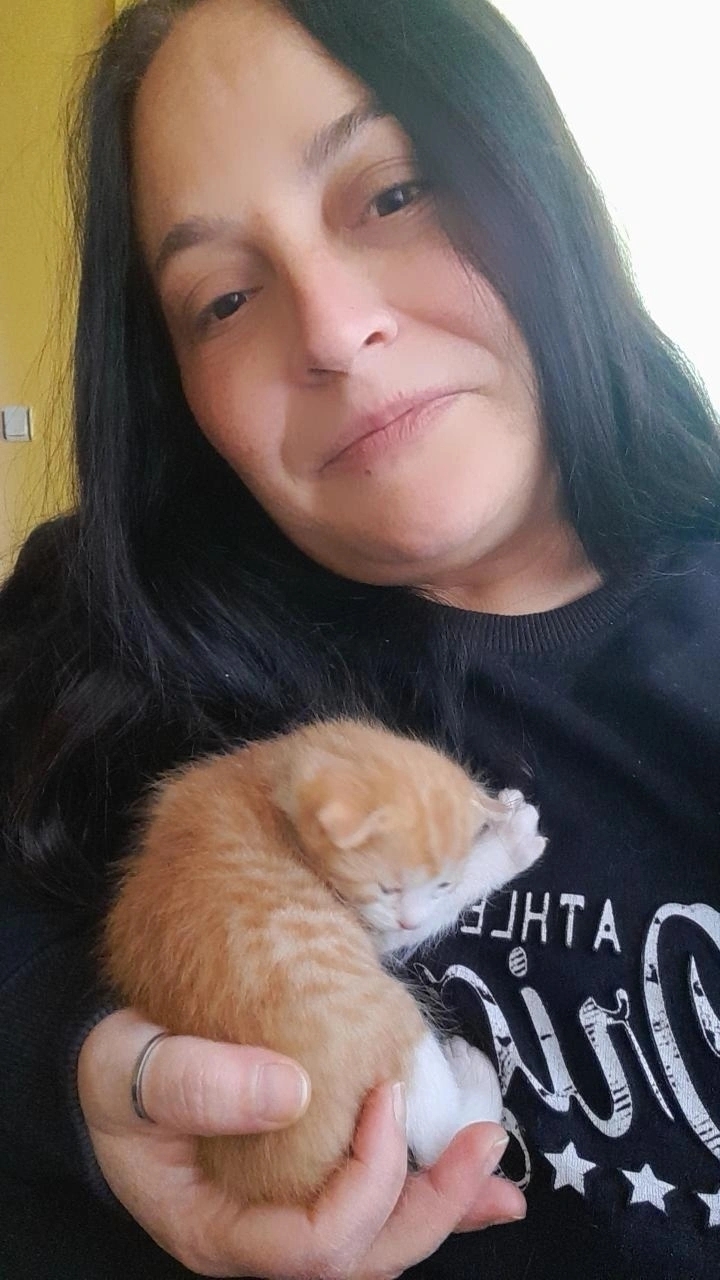 Gülşen