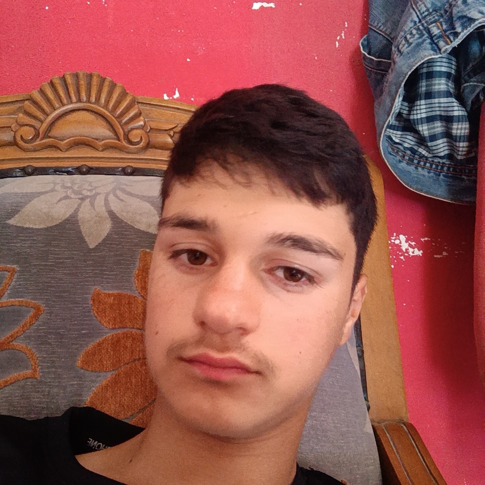 Ali