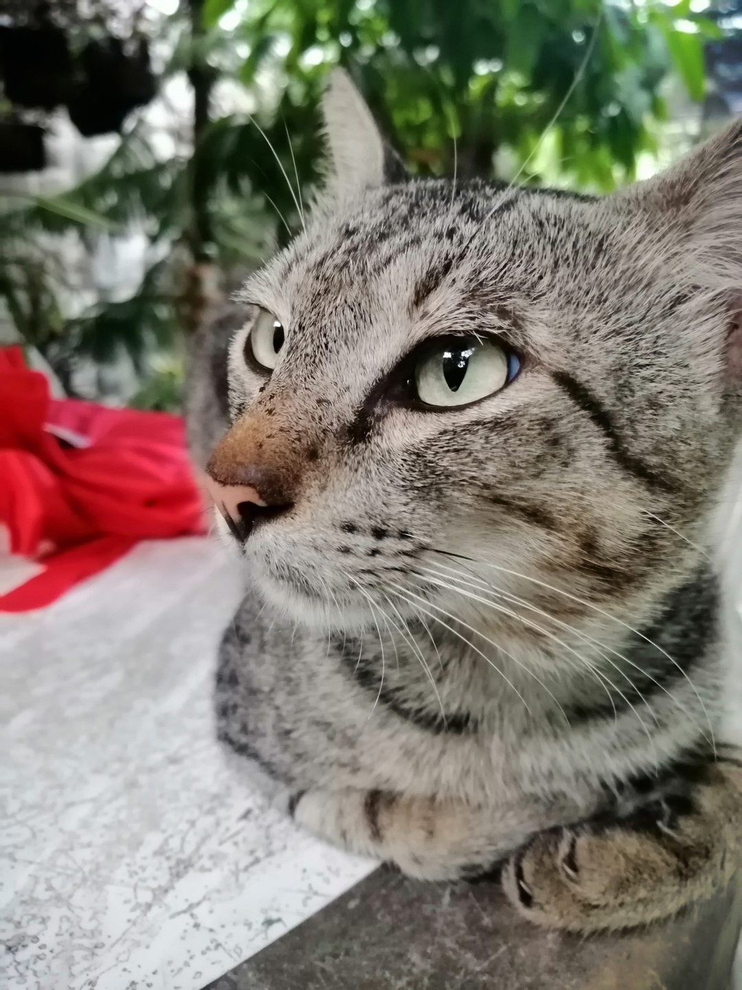 She