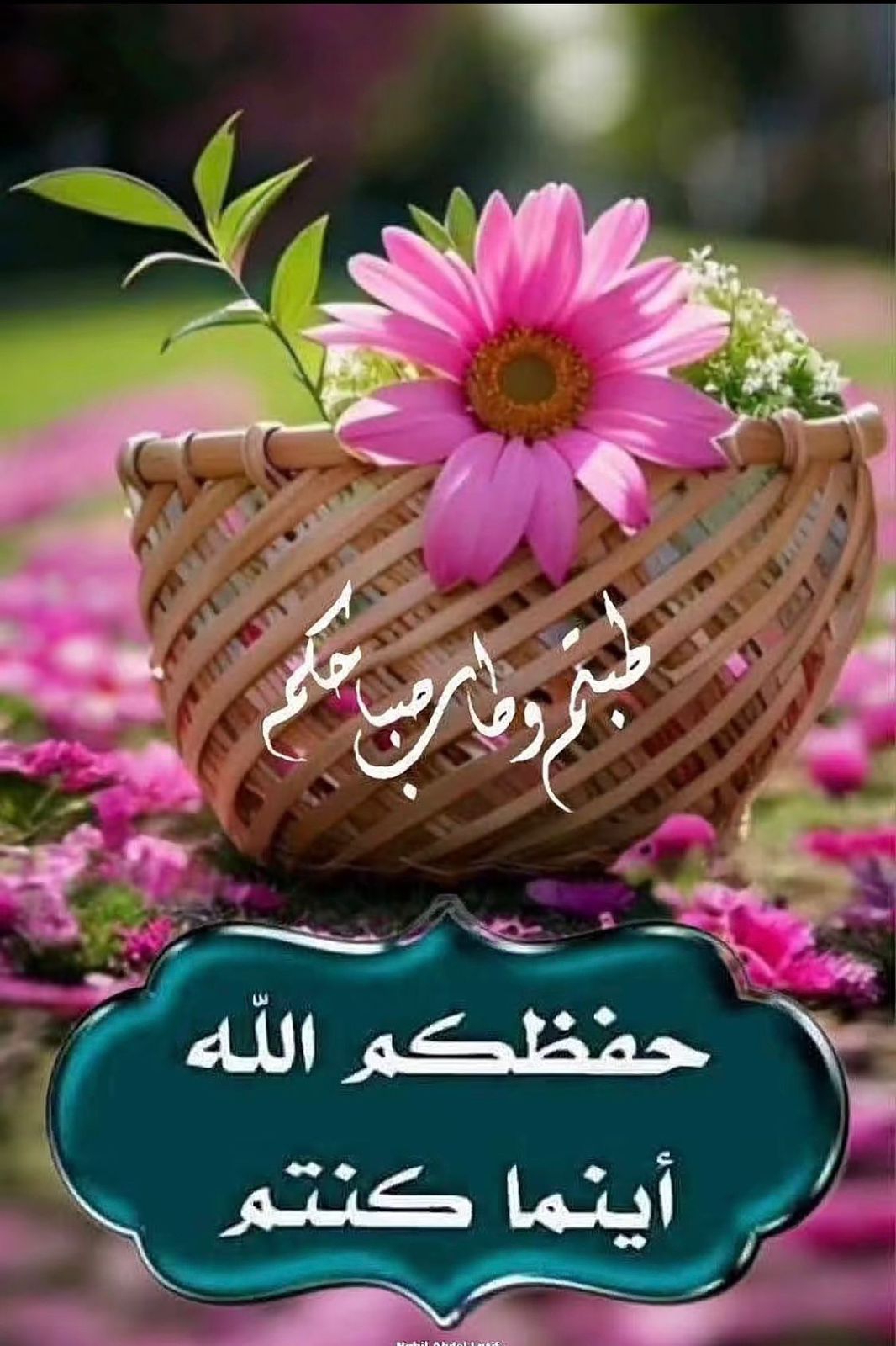 Ali