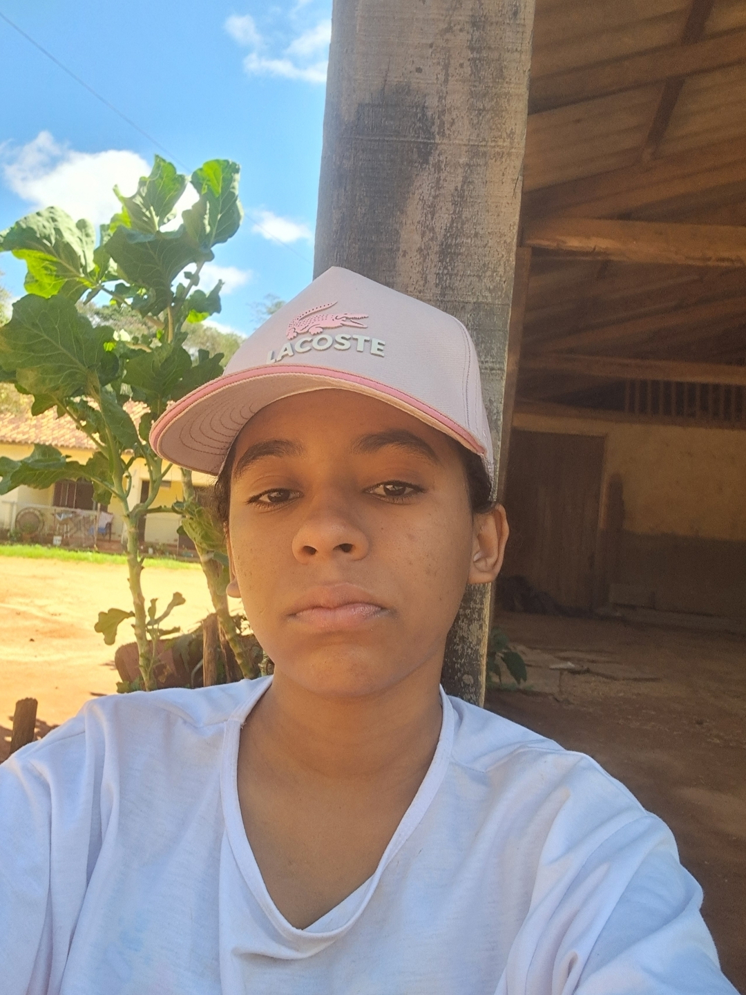 Estela