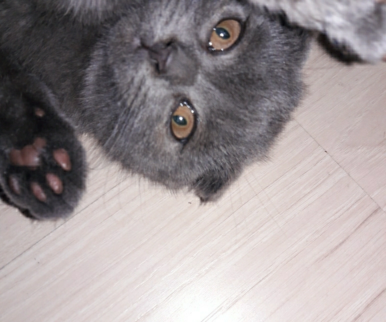 Gulzana