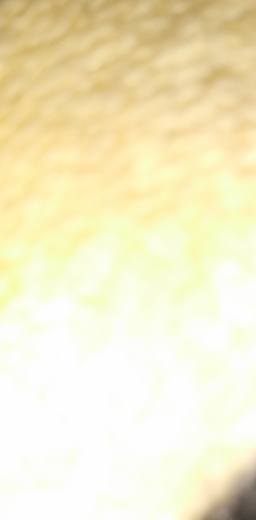Osman