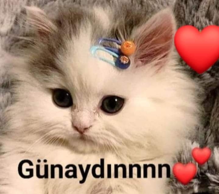 Fatma